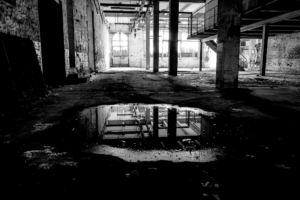 LLSHS; 402177790_10160563160760485_7946697828733325950_n-636698ef62e6a92ba3cebb4f7d253506.png