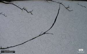 S&T; Fissures-874f209f00aac44fddeb8dc414f2c419