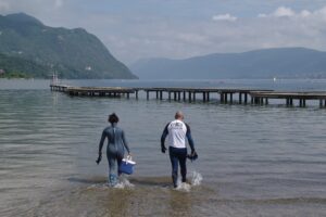 I24_3136-6325bdb76c4421436a39c9ed3310bc7a