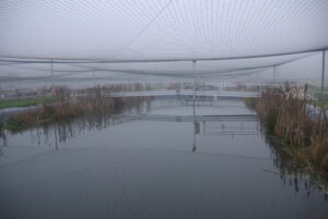 IMGP9410-38e10e911d1d37dc7f771875a322c6da