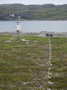 SVE; Labrador-geophysique-meteo-D.TODISCO-d451c598d0f580384900898772de3eb4