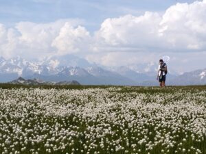 SFE2_benjamin-gerfand_chasse.jpg-1c15aecf5325826ea920391d749c73c7