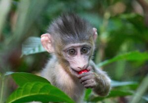 SVE; SFECA_lorine-grangy_apprendre-f00519019e792861b3795ee2a59db9cf