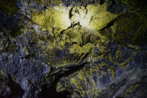 SVE; SFE_Maeva-Millan_Lor-microbien-36e6a43b8cfe2f275c52c84896ba497e