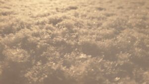 S&T; SFO_sofia-marchand_cristaux-6ca437b681ded899e3ea85b4566abaf3