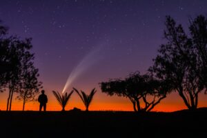 S&T; SG2A_Anthony-Berdeu_Contemplation-c92e1a9ee1d056f9fe8597380fab2266