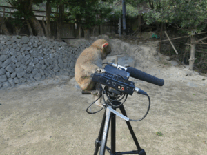 photo_test-b1f9cc5fb6d790ad09a5564c804fc5c8